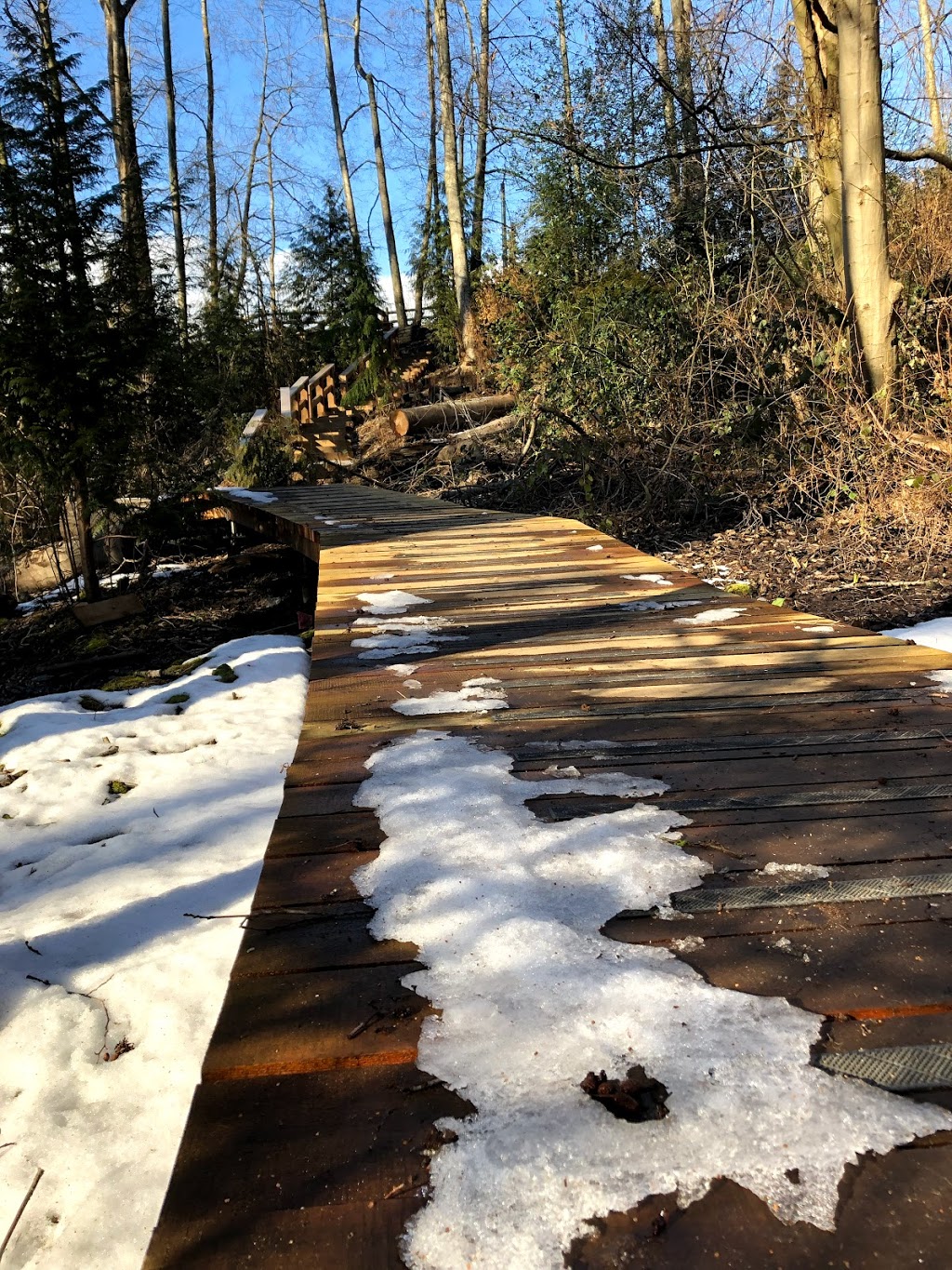 Renfrew Ravine Dog Park | Renfrew-Collingwood, Vancouver, BC V5M 2Y3, Canada