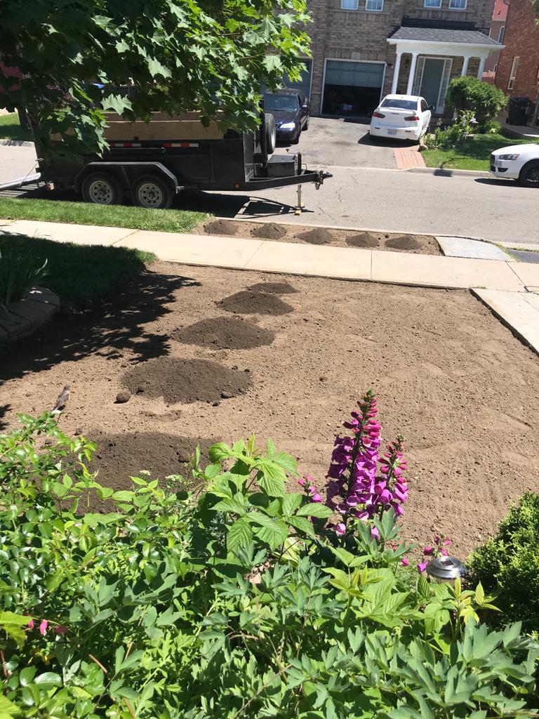 Mr.Sod - The Sod Installation Specialist | 234 Pinetree Way, Mississauga, ON L5G 2R2, Canada | Phone: (416) 704-6007