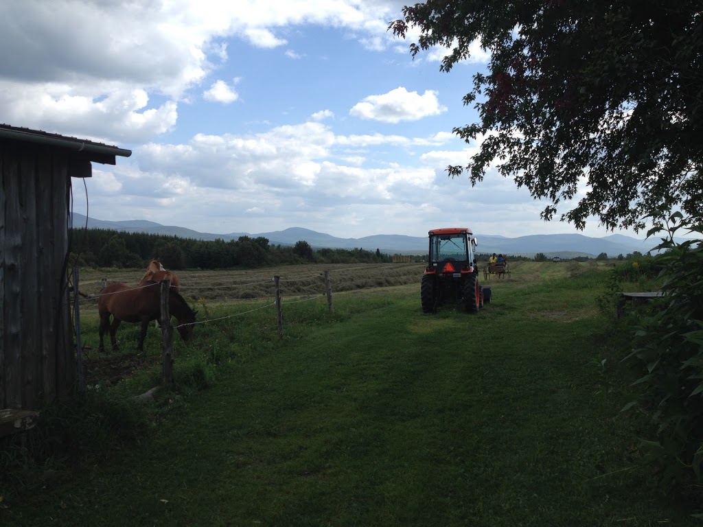 Ferme Terre et Vent | 139 Route du Parc, Notre-Dame-des-Bois, QC J0B 2E0, Canada | Phone: (819) 888-2715