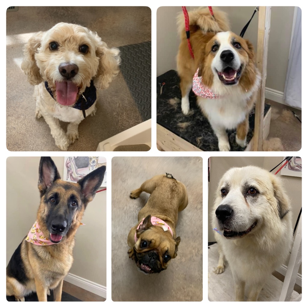 Bath Time | 158 Victoria St, Strathroy, ON N7G 3B1, Canada | Phone: (519) 319-0120