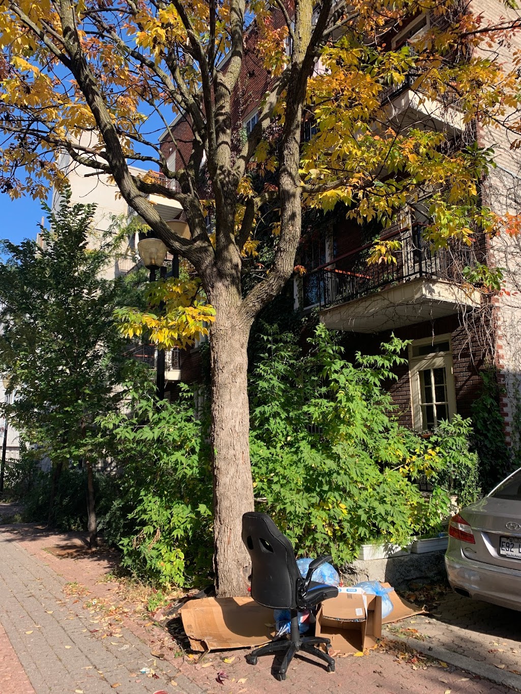 Sergakis | 3433 Rue Notre Dame O, Montréal, QC H4C 1P3, Canada | Phone: (514) 938-1391