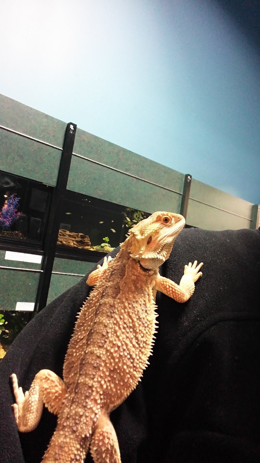 Petland | 5055 101 Ave NW #185, Edmonton, AB T6A 0G7, Canada | Phone: (587) 521-3922