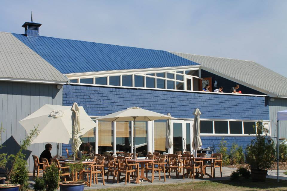 Les Bleuets du Vire Crêpes | 975 Chem. Vire-Crêpes, Saint-Nicolas, QC G7A 2A1, Canada | Phone: (418) 836-2955