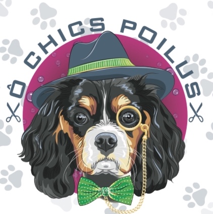 toilettage O chics poilus | 458 Rue Molina, Saint-Lin - Laurentides, QC J5M 0L3, Canada | Phone: (514) 463-4985