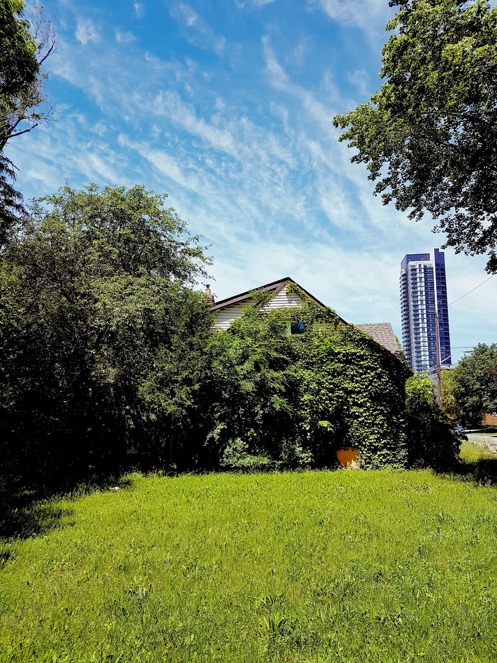 OHIP | 47 Sheppard Ave E #4, Toronto, ON M2N 0H2, Canada | Phone: (416) 314-5518