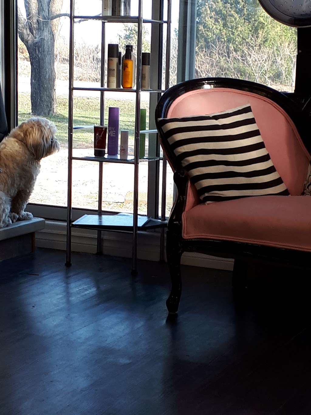 Trishs Hair Design | 803 Kawartha Lakes County Rd 121, Fenelon Falls, ON K0M 1N0, Canada | Phone: (705) 887-1536