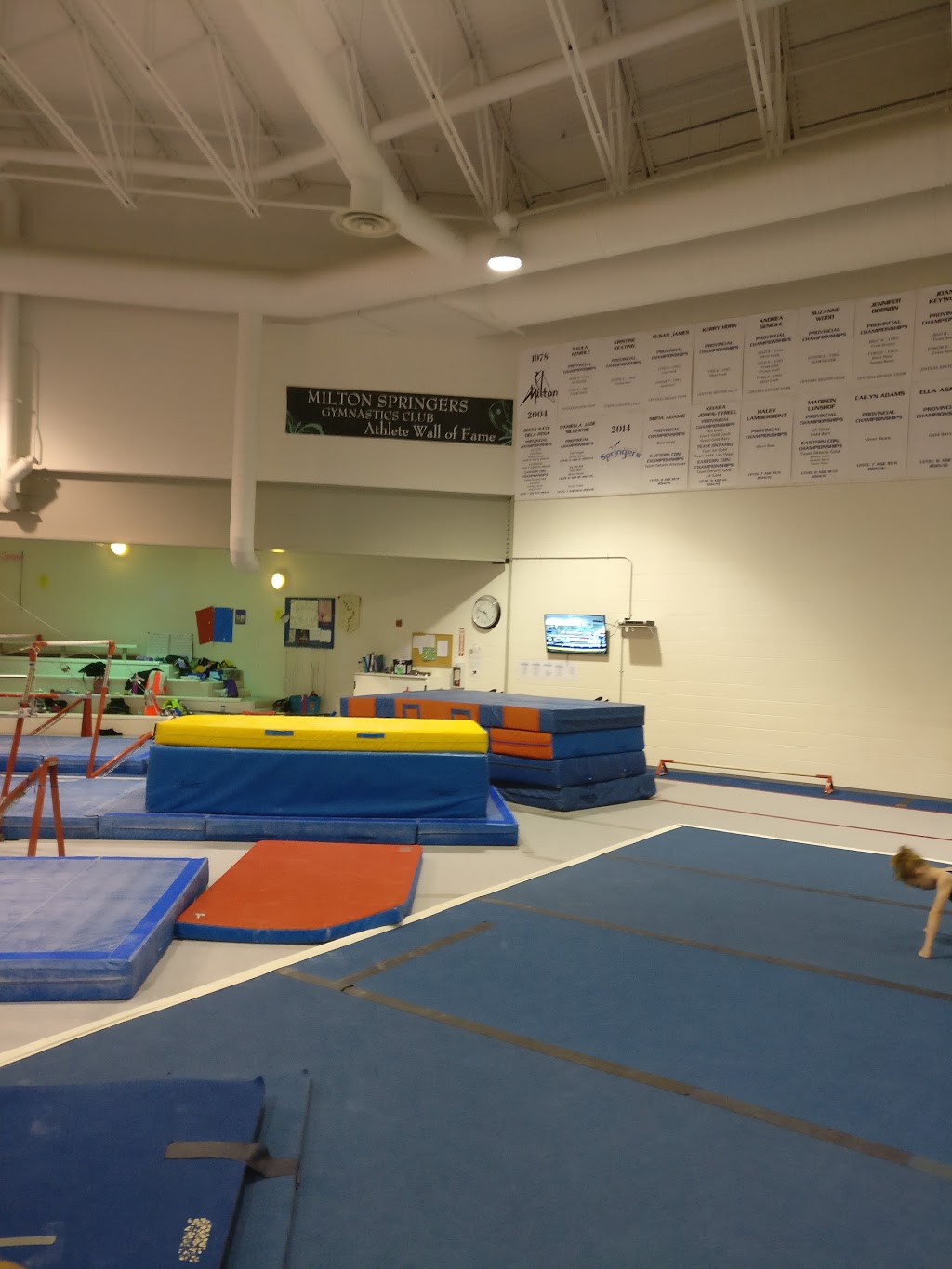 Milton Springers Gymnastics Club | 605 Santa Maria Blvd, Milton, ON L9T 6J5, Canada | Phone: (905) 878-5030