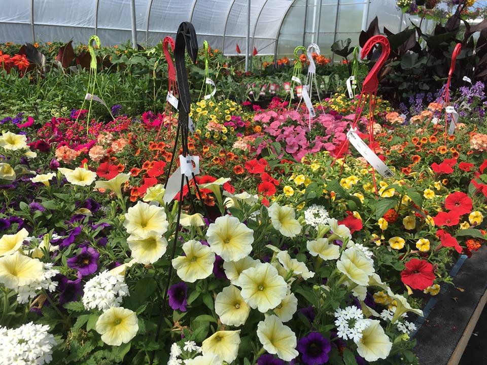Les Jardins Gourmands Inc. | 2236 Rang Saint-Jacques, Saint-Jacques, QC J0K 2R0, Canada | Phone: (450) 839-9253
