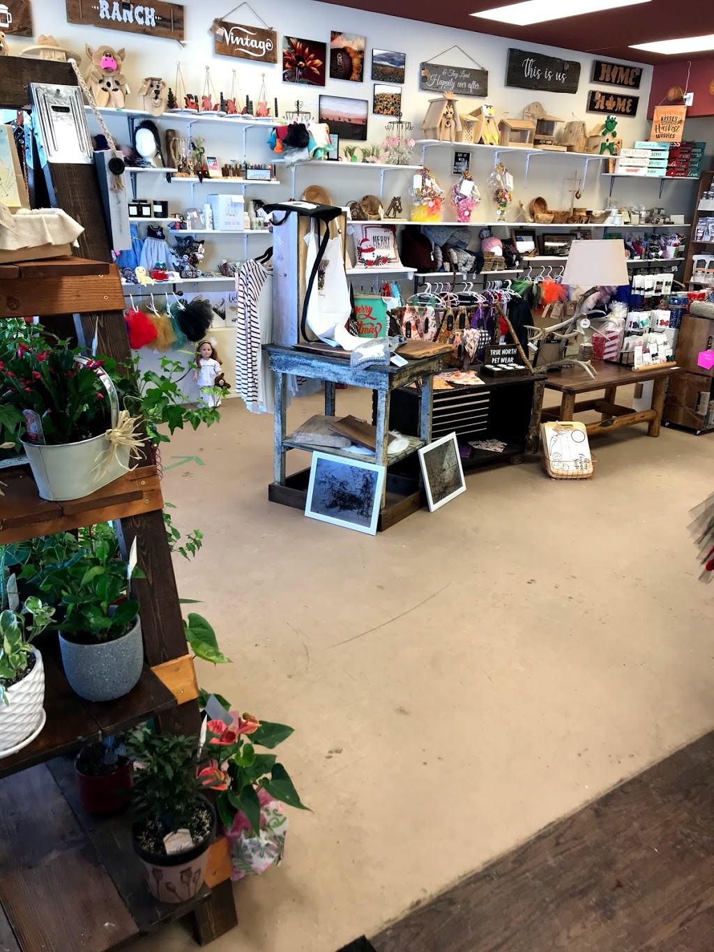 The Hive Nanton | 2517 21 Ave, Nanton, AB T0L 1R0, Canada | Phone: (403) 646-2056
