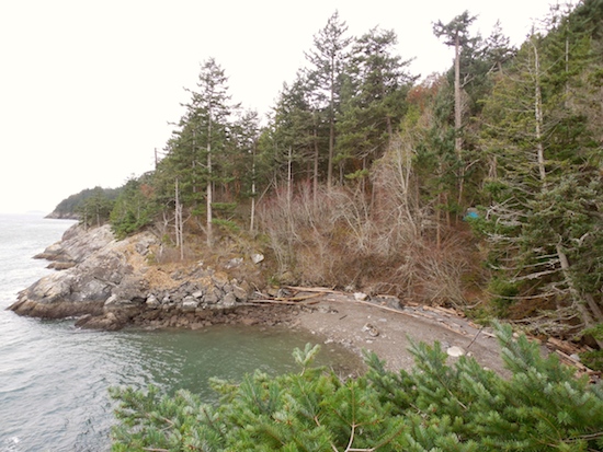 Lummi Island Campground | Lummi Island, WA 98262, USA