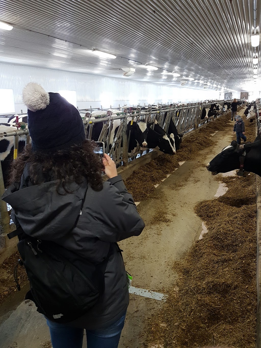 Ferme Mycalin | 116 Rang Petite Ligne 1T0, Saint-Alexis, QC J0K 1T0, Canada | Phone: (450) 839-6192