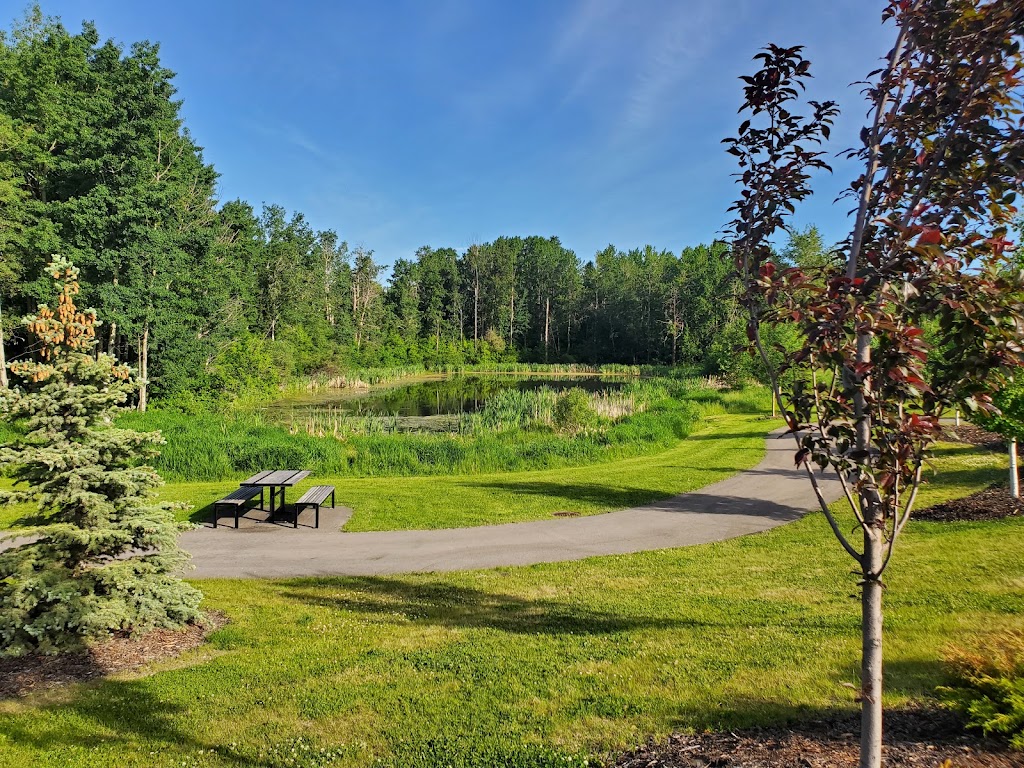 Tutty Pond Park | Blackfalds, AB T0M 0J0, Canada | Phone: (403) 885-4677