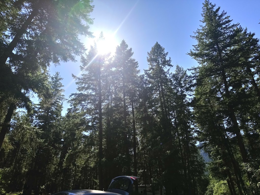 Pinegrove Campground & RV Park | 421 Walterdale Rd, McLure, BC V0E 2H0, Canada | Phone: (250) 672-5529