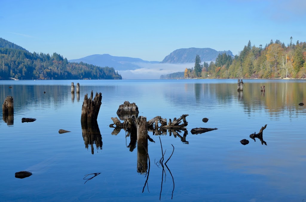 Innate Galleries | 99 S Shore Rd, Lake Cowichan, BC V0R 2G0, Canada | Phone: (250) 932-0777
