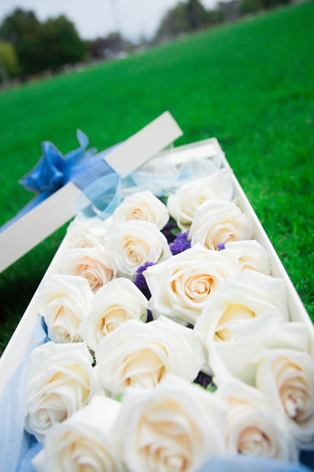 Champlain Florist | 8580 Alexandra Rd, Richmond, BC V6X 4B3, Canada | Phone: (604) 688-6355