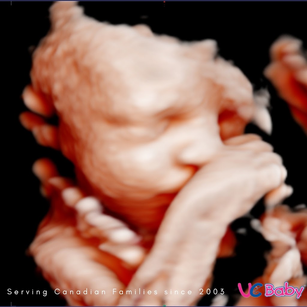 UC Baby 3D Ultrasound | 536 Laura Ave, Suite 203 Liberty Park Professional Center, Red Deer, AB T4E 0A5, Canada | Phone: (877) 682-2229