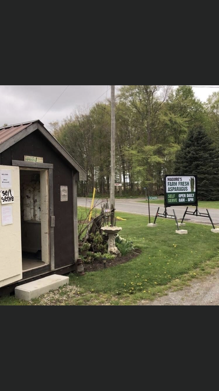 5th Gen Duwyn Farms (Maguire’s)Asparagus Stand | 3348 Swimming Pool Rd, La Salette, ON N0E 1H0, Canada | Phone: (519) 429-4455