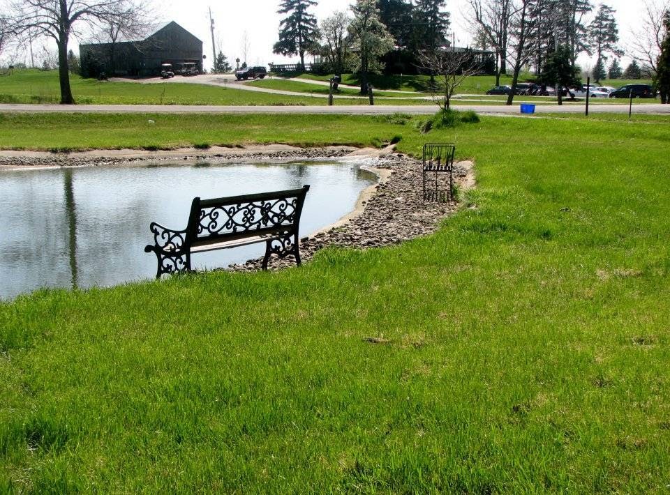 A New Leaf Farm | 9720 Chippewa Rd W, Mount Hope, ON L0R 1W0, Canada | Phone: (905) 679-5485