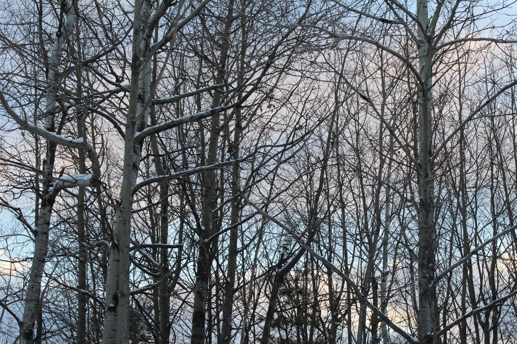 P3 Gatineau Park | Prom. de la Gatineau, Gatineau, QC J9A, Canada | Phone: (819) 827-2020