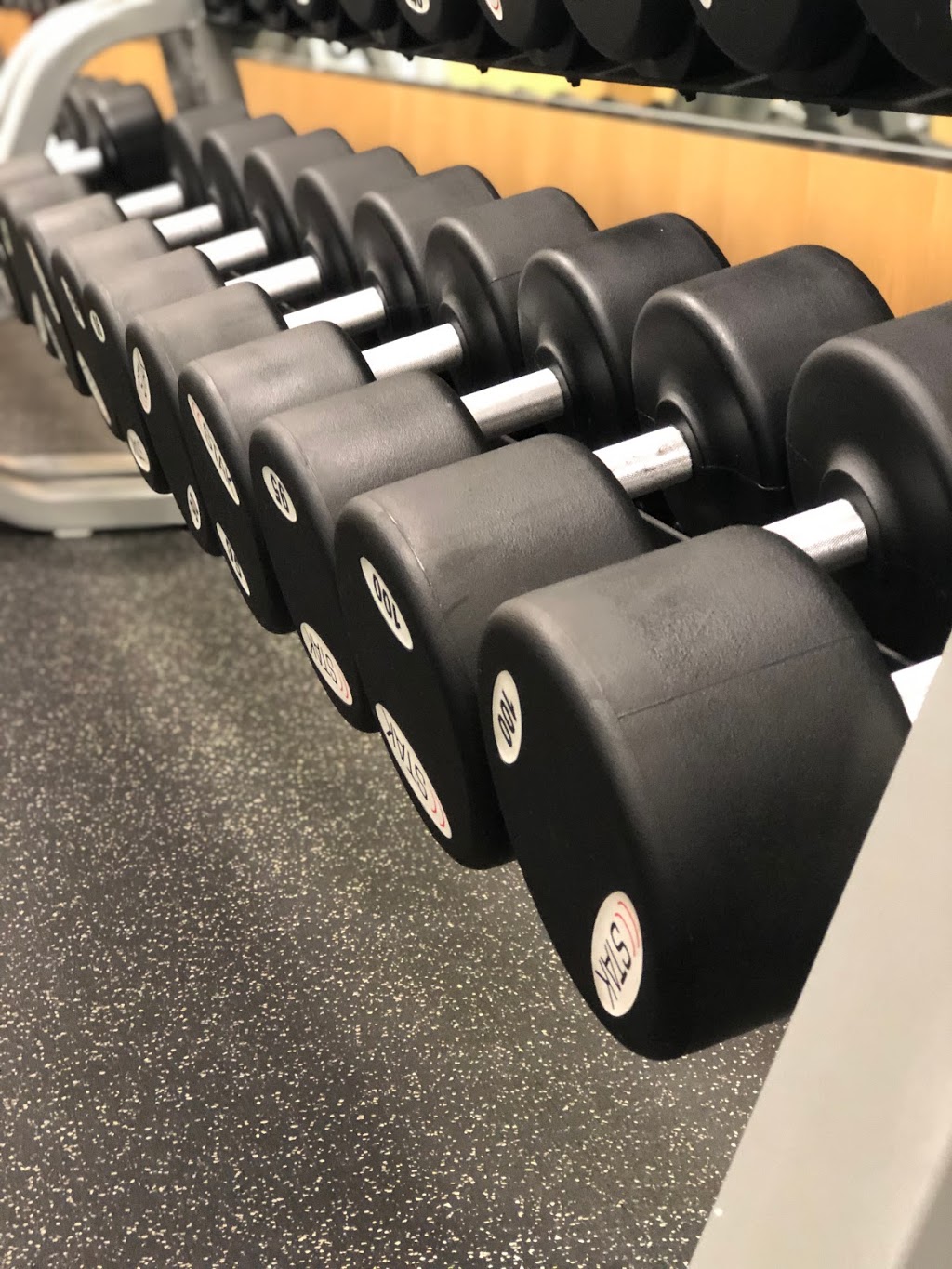 Anytime Fitness Transcona | 1750 Plessis Rd, Winnipeg, MB R3W 0B3, Canada | Phone: (431) 999-1555