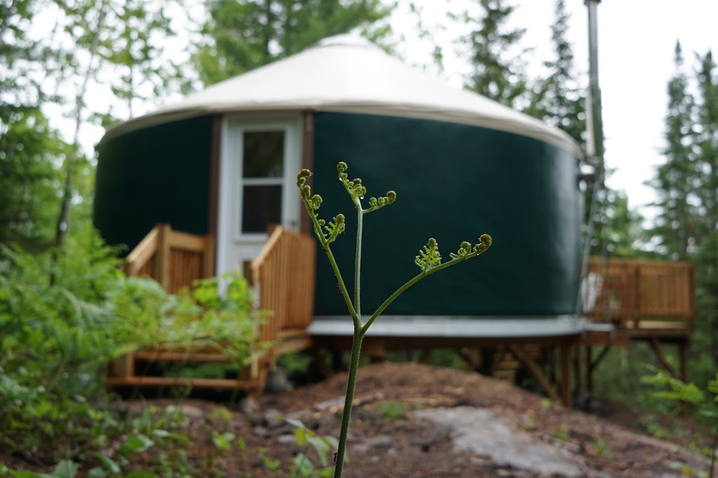 Sow | 339 48e avenue Rivière Boule, Saint-Côme, QC J0K 2B0, Canada | Phone: (514) 518-0923