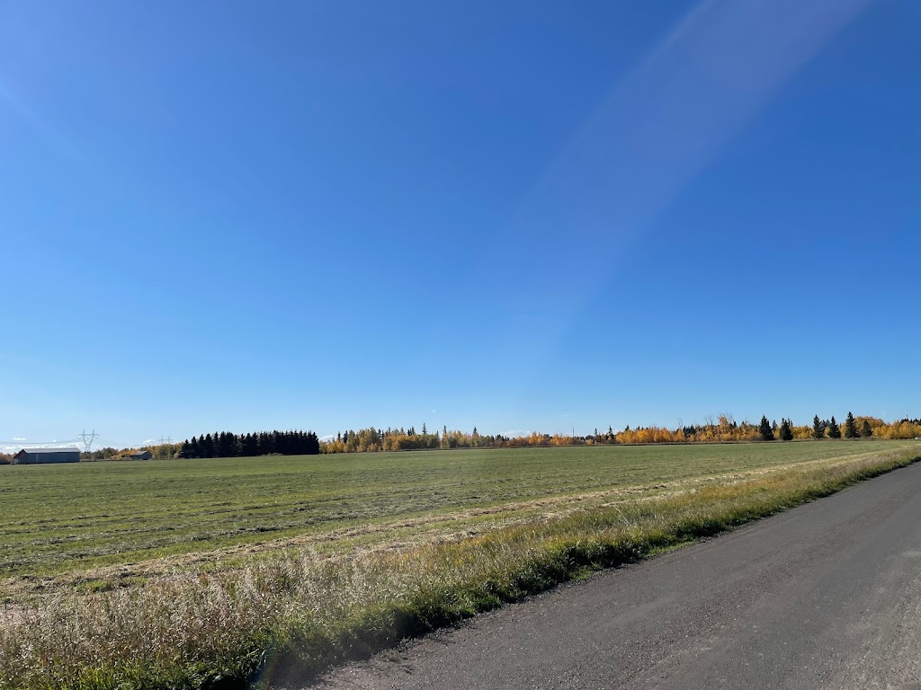 Creekside Pet Boarding & Daycare | 4115 170 St SW, Edmonton, AB T6Y 0C8, Canada | Phone: (587) 879-2879