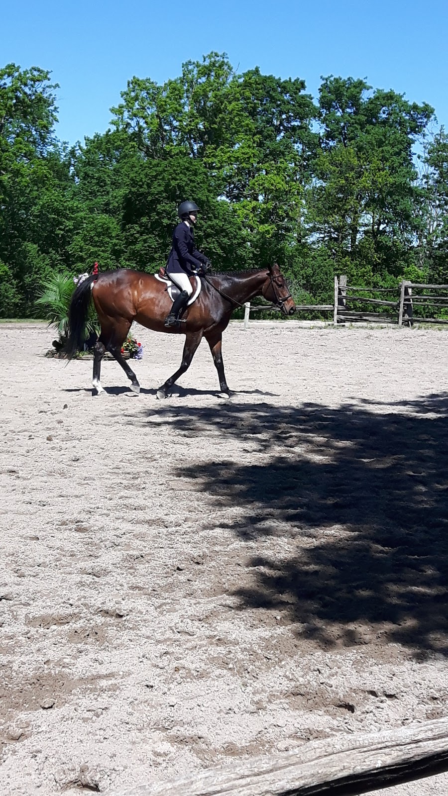 Burbrook Equestrian | 2147 Cordukes Rd, Kingston, ON K7L 4V4, Canada | Phone: (613) 544-3428