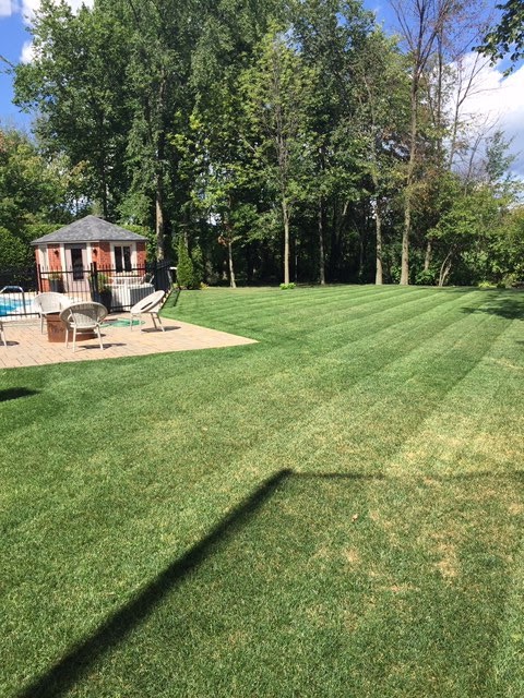 Treeze Paysagement Inc. | 5 dArmagnac, Candiac, QC J5R 6E2, Canada | Phone: (514) 434-2818