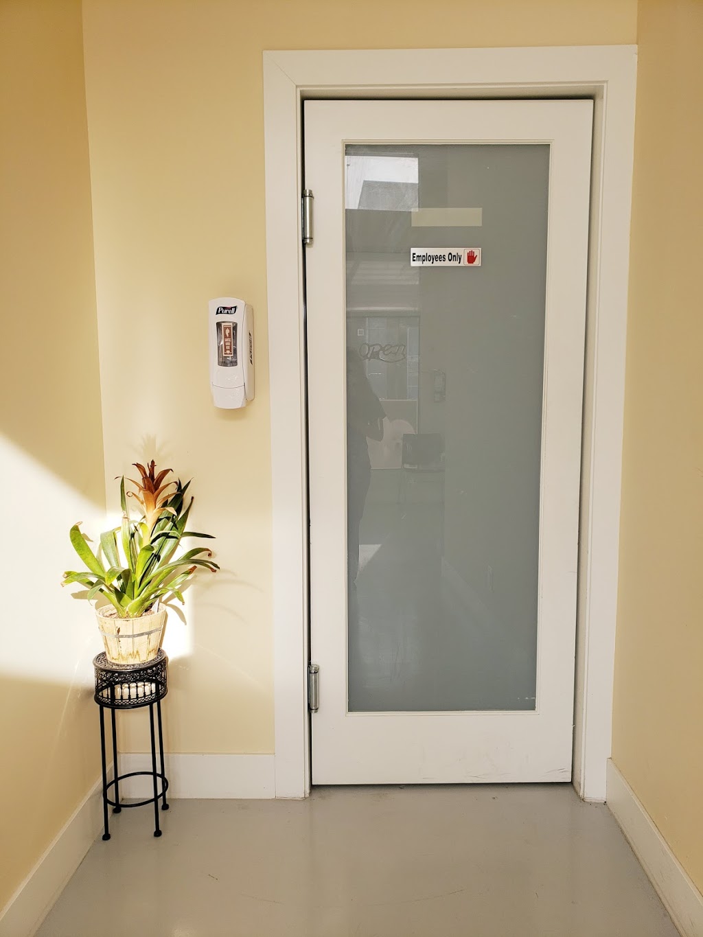 Sullivan Animal Hospital | 101, 14390 64 Ave #102, Surrey, BC V3W 1Z1, Canada | Phone: (778) 578-3004