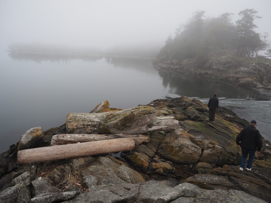 Blackfish Sailing Adventures | 1327 Beach Dr, Victoria, BC V8S 2N6, Canada | Phone: (250) 744-0409