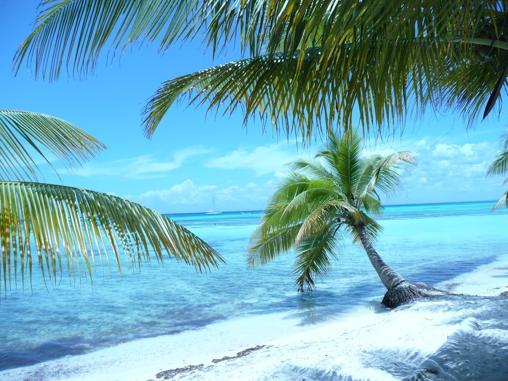 Excursions Punta Cana | 8130, Saint-Hyacinthe, QC J2R 1G7, Canada | Phone: (514) 293-6799