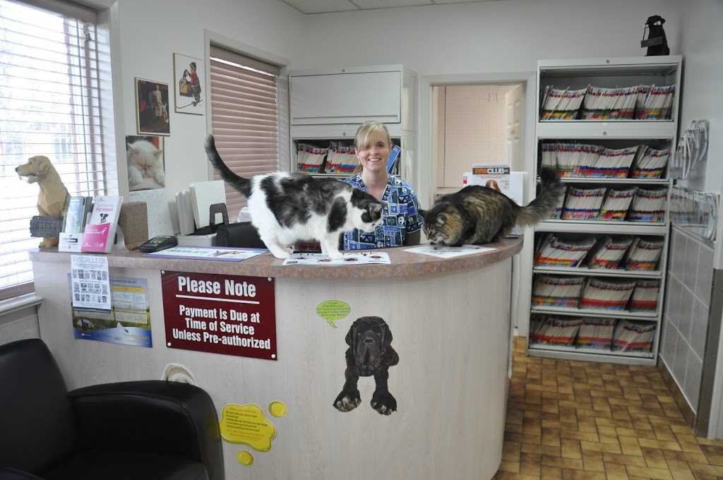 Acton Veterinary Clinic | 10 River St, Acton, ON L7J 1C1, Canada | Phone: (519) 853-1450
