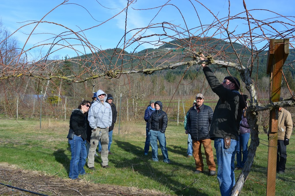 Cloud Mountain Farm Center Main Farm | 6906 Goodwin Rd, Everson, WA 98247, USA | Phone: (360) 966-5859