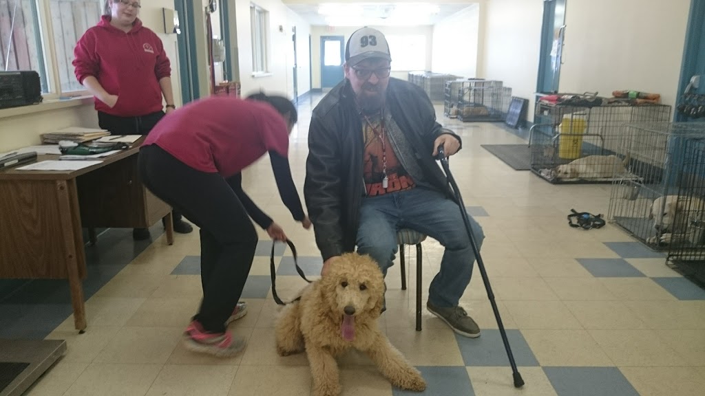 Lions Foundation of Canada Dog Guides | 3751 Chilligo Rd, Breslau, ON N0B 1M0, Canada | Phone: (519) 648-3780