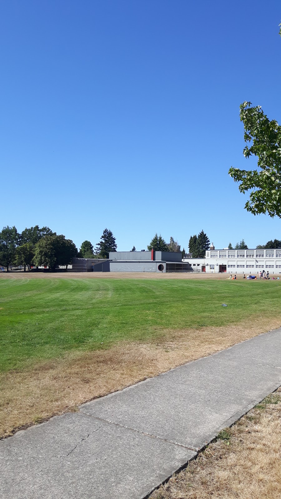 Montgomery Park Playground | 1040 W 43rd Ave, Vancouver, BC V6M 2B9, Canada | Phone: (604) 710-5253