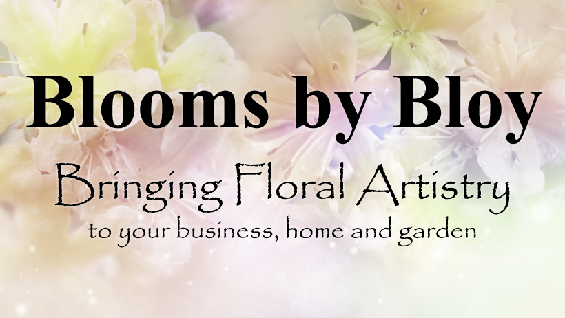 Blooms by Bloy Calgary Head Office | 145 Point Dr NW #1204, Calgary, AB T3B 4W1, Canada | Phone: (403) 819-1205