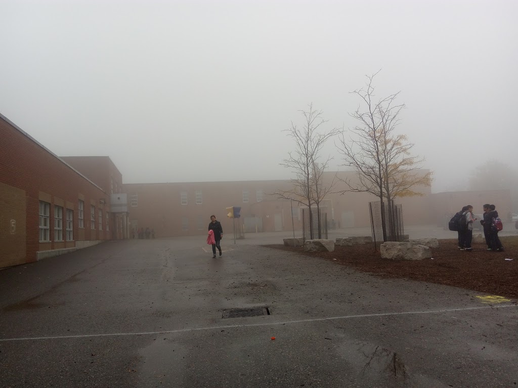 Saint Albert Separate School | 1125 Midland Ave, Scarborough, ON M1K 4H2, Canada | Phone: (416) 393-5335