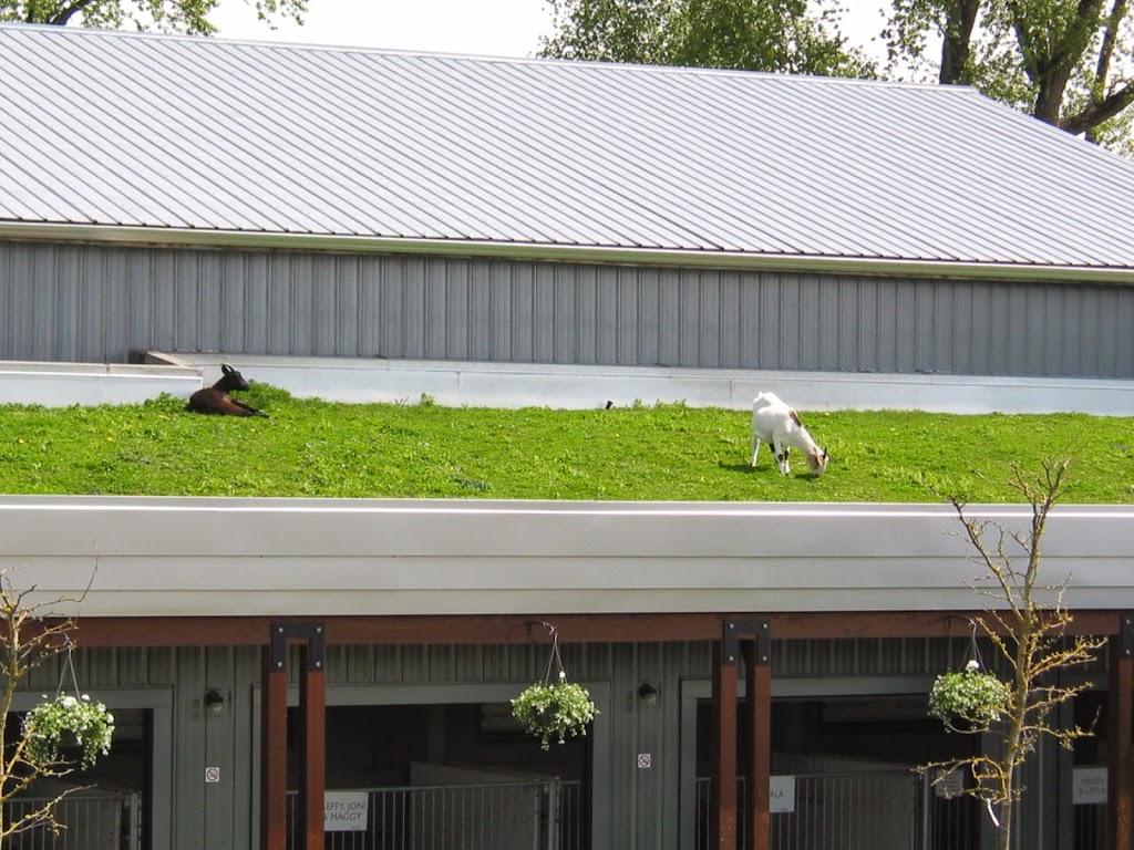 Repp Industries Roofing Ltd. | 2629 Progressive Way Unit B, Abbotsford, BC V2T 6H8, Canada | Phone: (604) 853-8394
