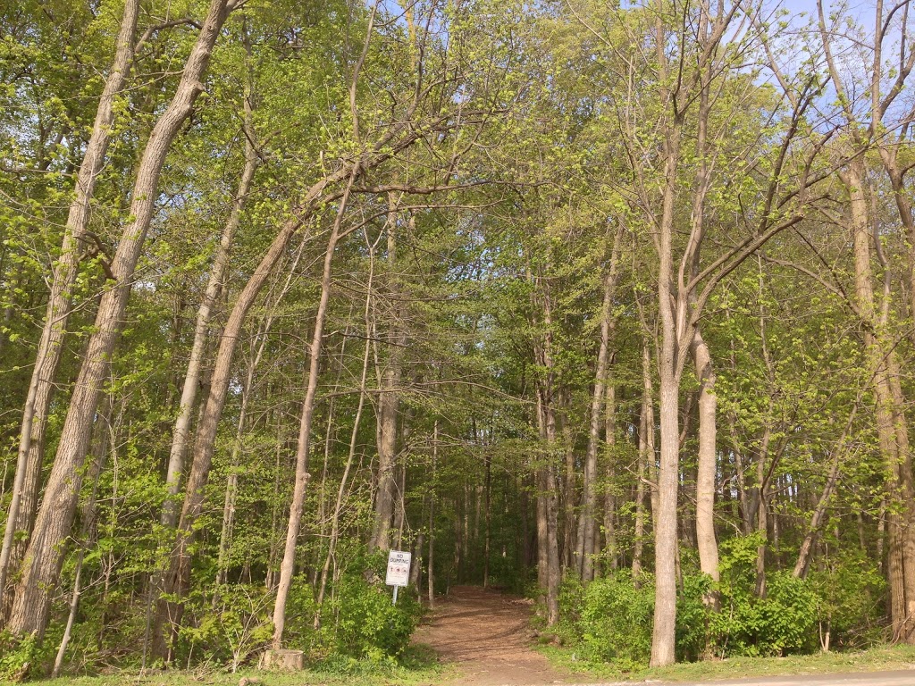 Sugarbush Park | Waterloo, ON N2L, Canada