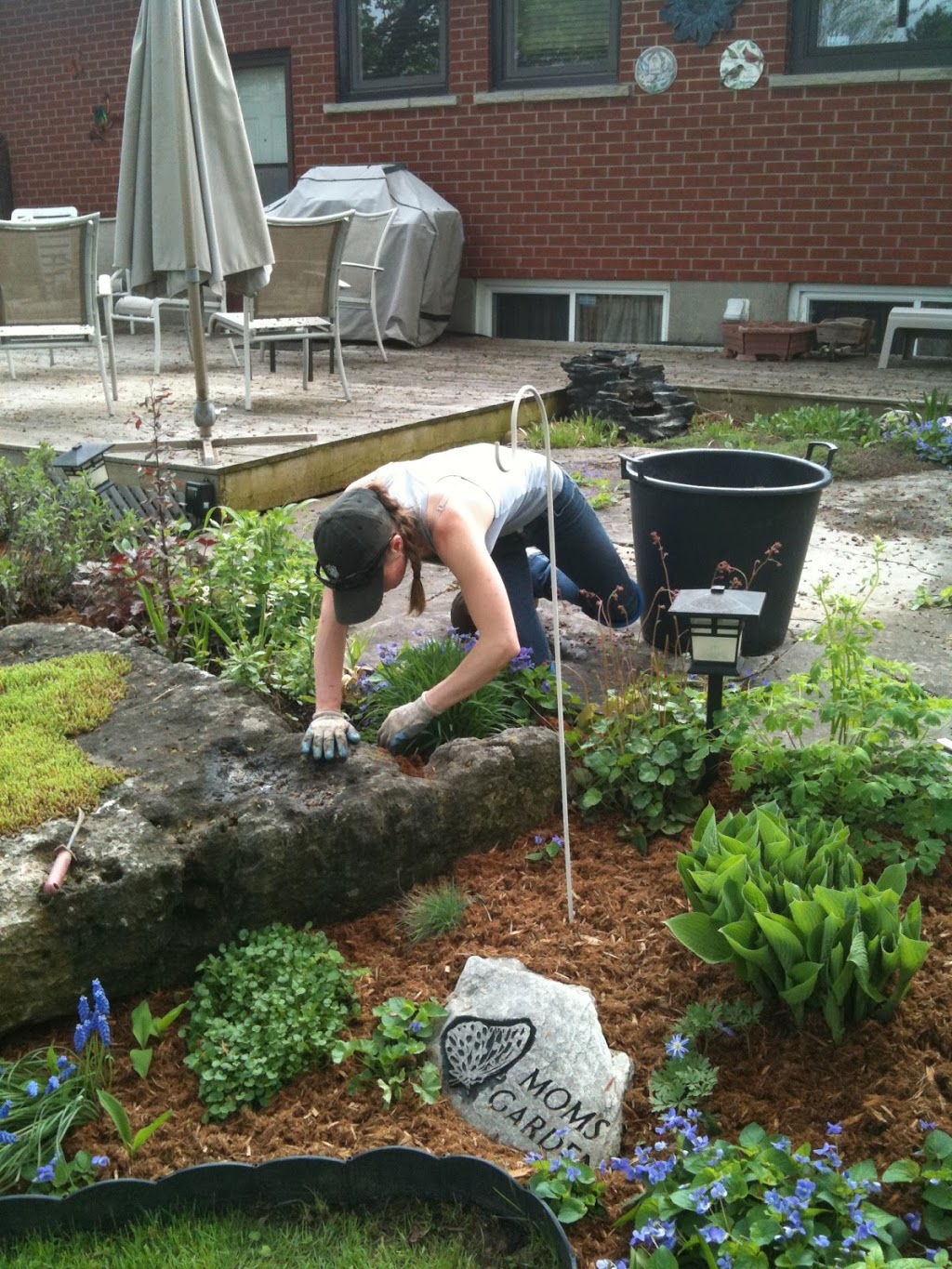 Estate Tree and Lawn Care TLC Inc | 13580 Concession 11, Schomberg, ON L0G 1T0, Canada | Phone: (905) 859-5843