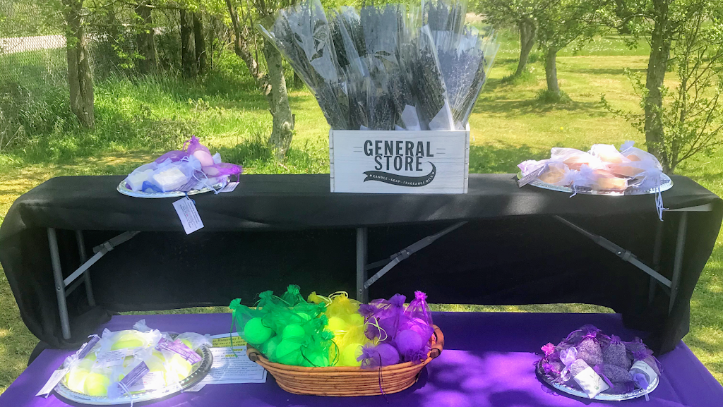 Ridgeway Lavender | 3359 Third Concession Rd, Port Colborne, ON L3K 5V5, Canada | Phone: (289) 969-1717