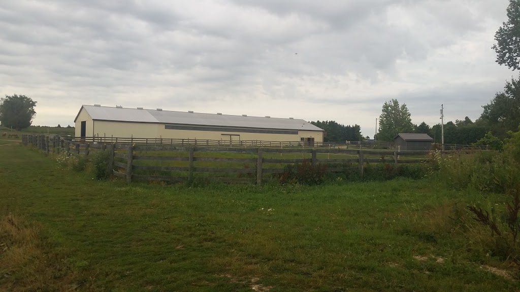 3 Nails Ranch & Trails Inc | 6635 3 Line, Fergus, ON N1M 2W4, Canada | Phone: (519) 994-7400