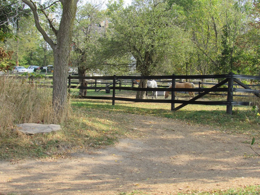 Whitney Stables | 3 Line, Erin Township, Acton, ON L7J 2L8, Canada | Phone: (519) 362-6664