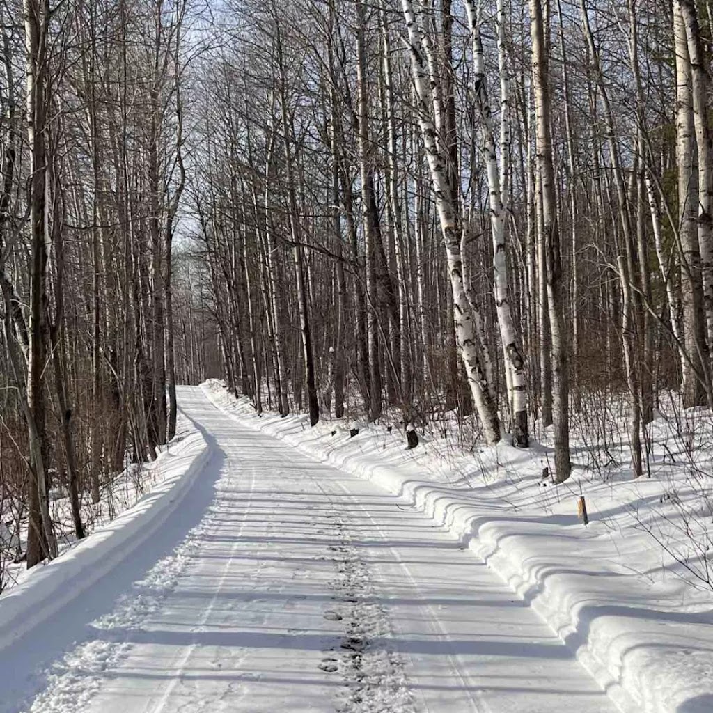 The Wicksens | 131 Horseshoe Ln, Barrys Bay, ON K0J 1B0, Canada | Phone: (647) 710-5281