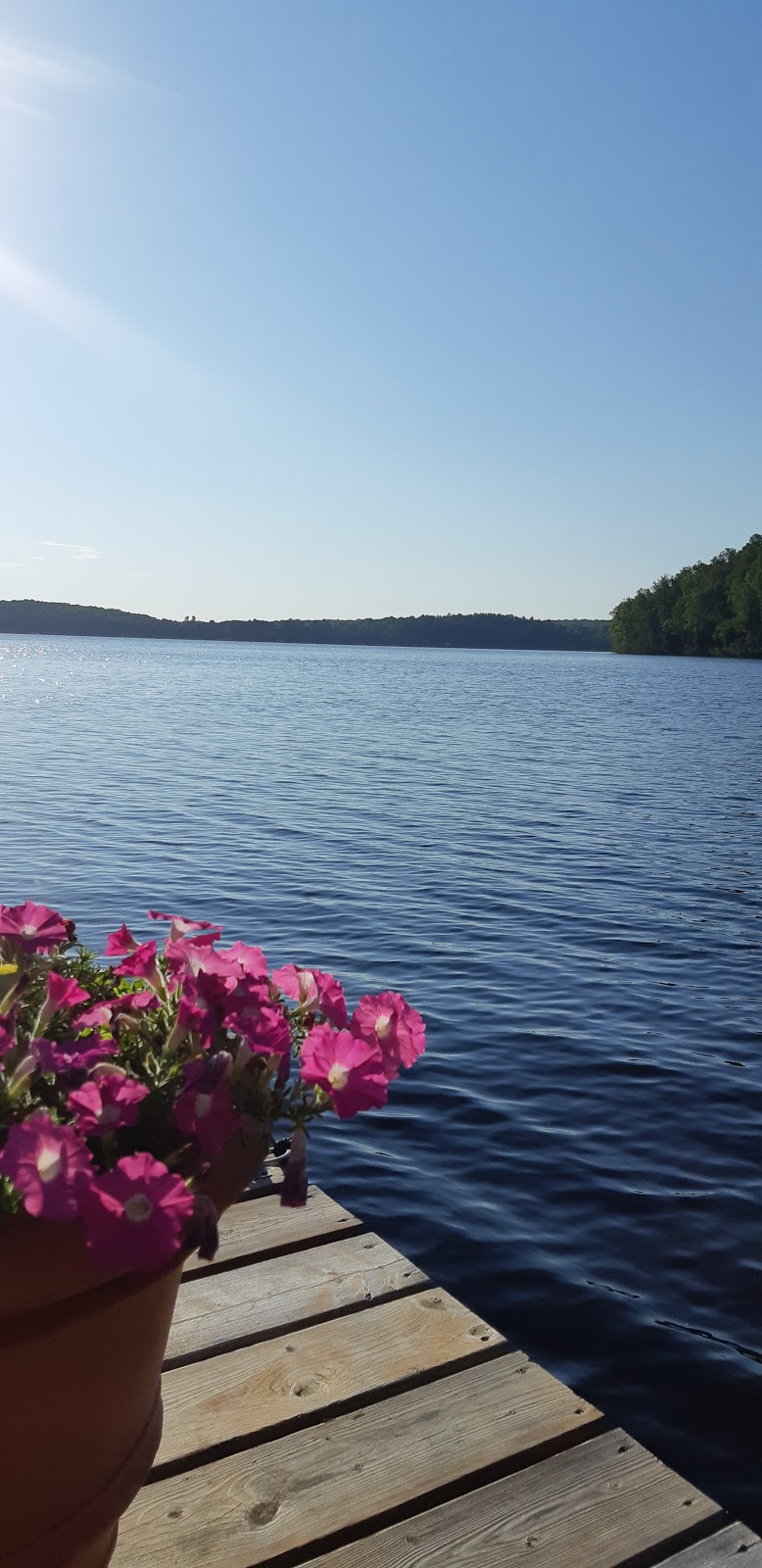 Clayton Cove B&B | 402 Claytons Cove Rd, Coe Hill, ON K0L 1P0, Canada | Phone: (613) 337-9209