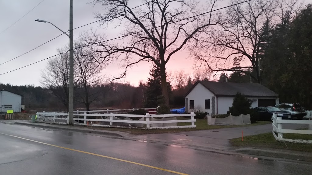 Prestons Food Mart | 60 Confederation St, Georgetown, ON L7G 3R7, Canada | Phone: (905) 877-2762