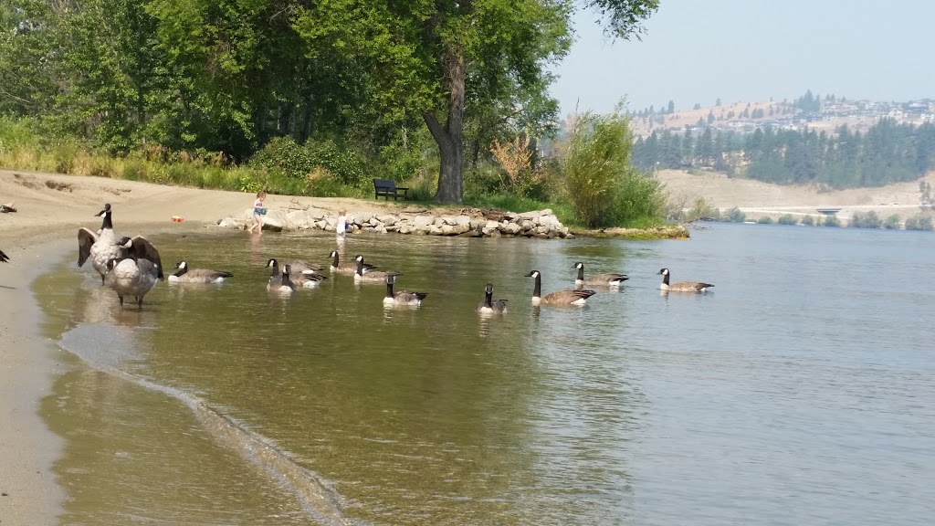 Beasley Park | 11471 Reiswig Rd, Lake Country, BC V4V 1Y5, Canada | Phone: (250) 766-5650
