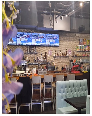 Pro IT Land | 50 Chartwell Rd, Etobicoke, ON M8Z 4G1, Canada | Phone: (437) 984-4600