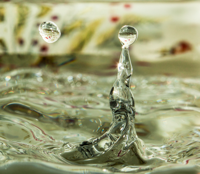 Snaps Drops Inc. Water Drop Photography | 110 Smiths Point Rd, East Quoddy, NS B0J 2R0, Canada | Phone: (902) 654-2736