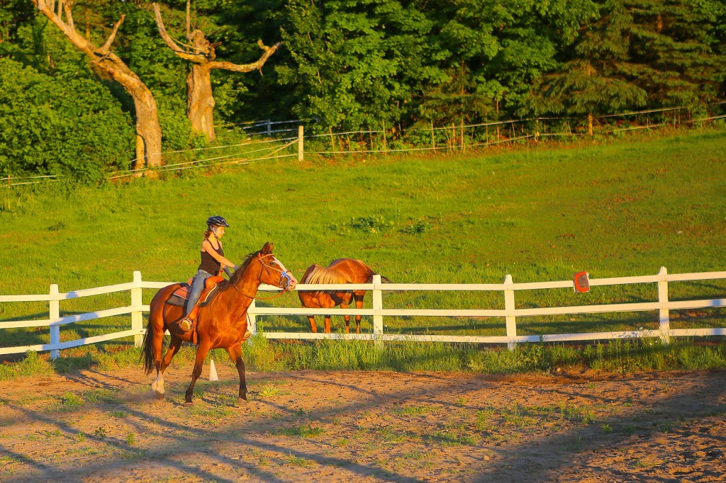 Equita Ranch | 838 Montée de la Source, Cantley, QC J8V 3H4, Canada | Phone: (819) 827-9996